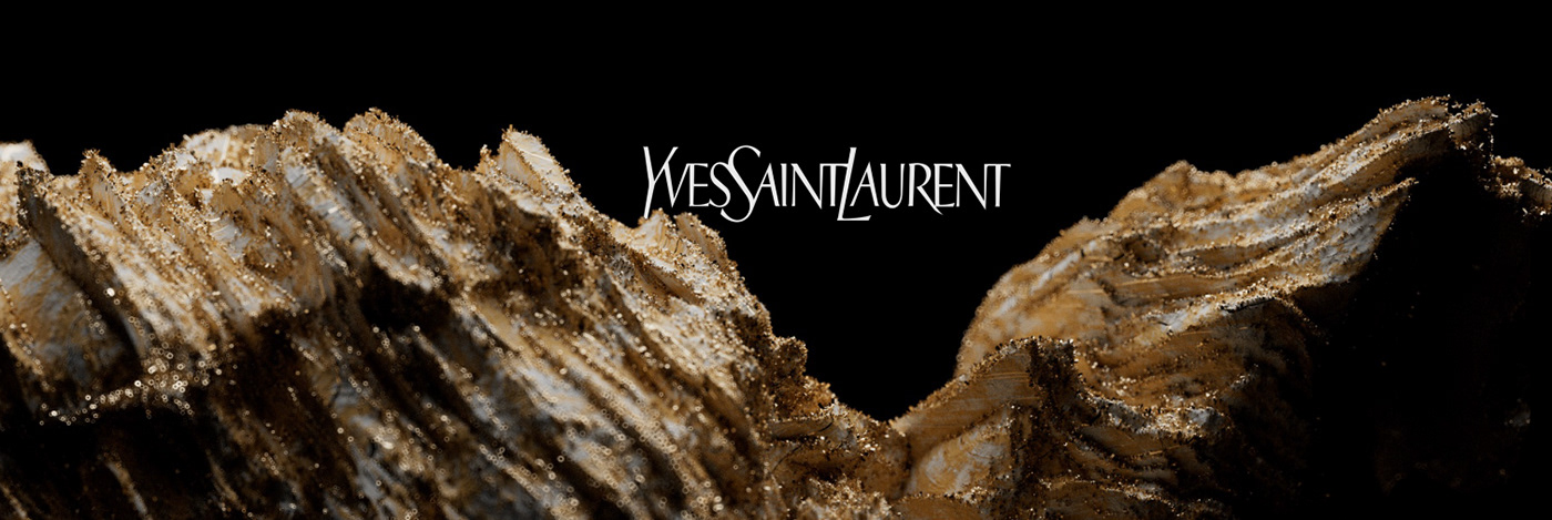 YSL Banner